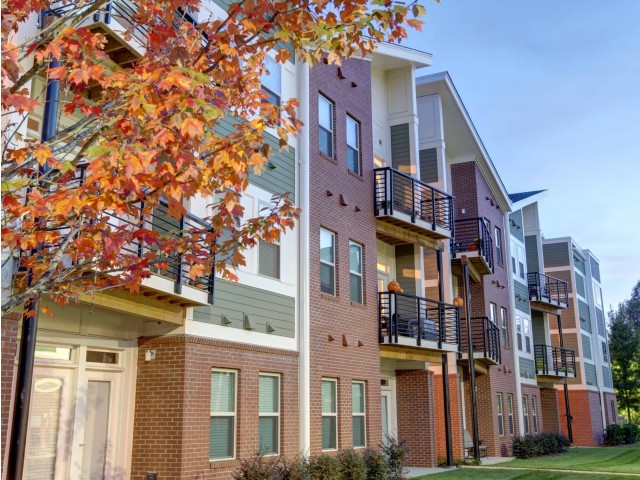 The Vyne on Central Image 8