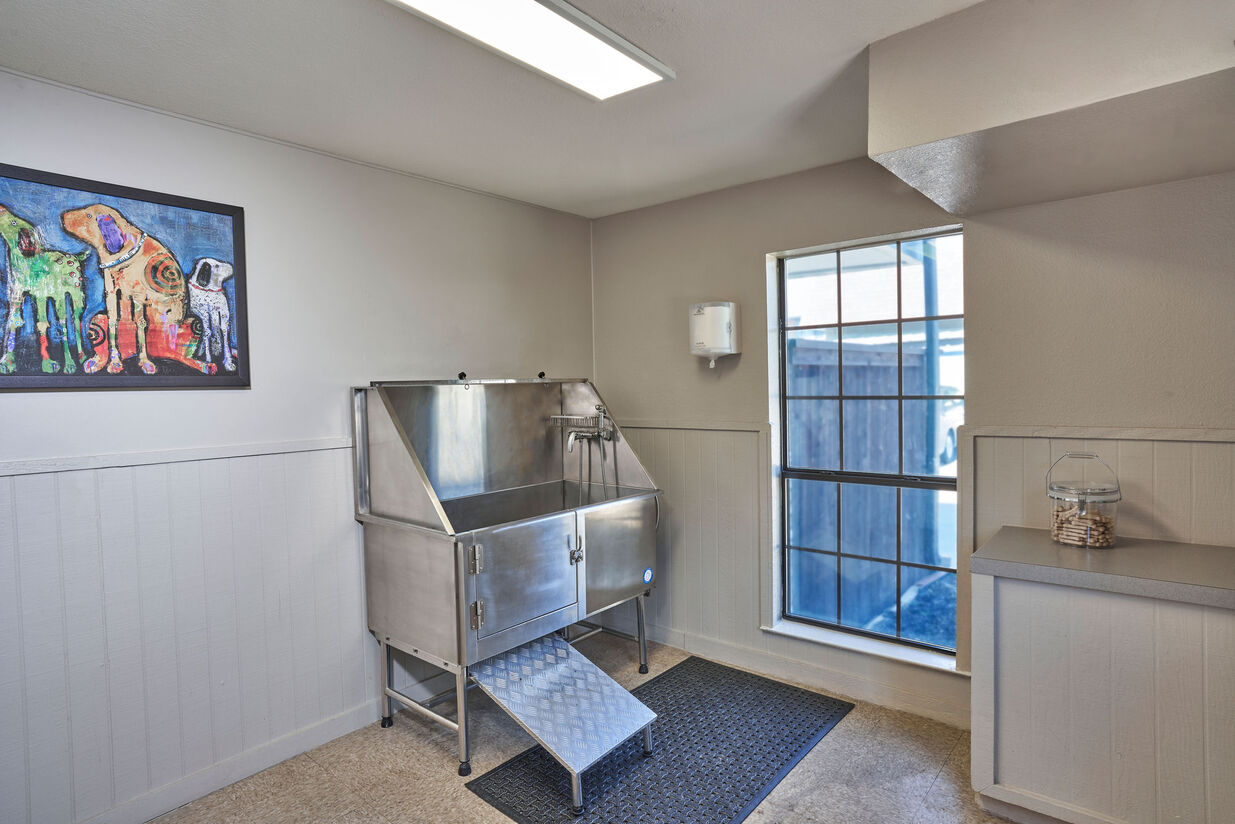 The Fountains of Preston Hollow Image 24