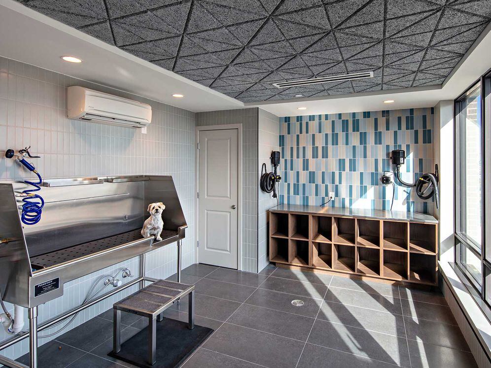 WAG pet spa with bathing area and grooming equipment