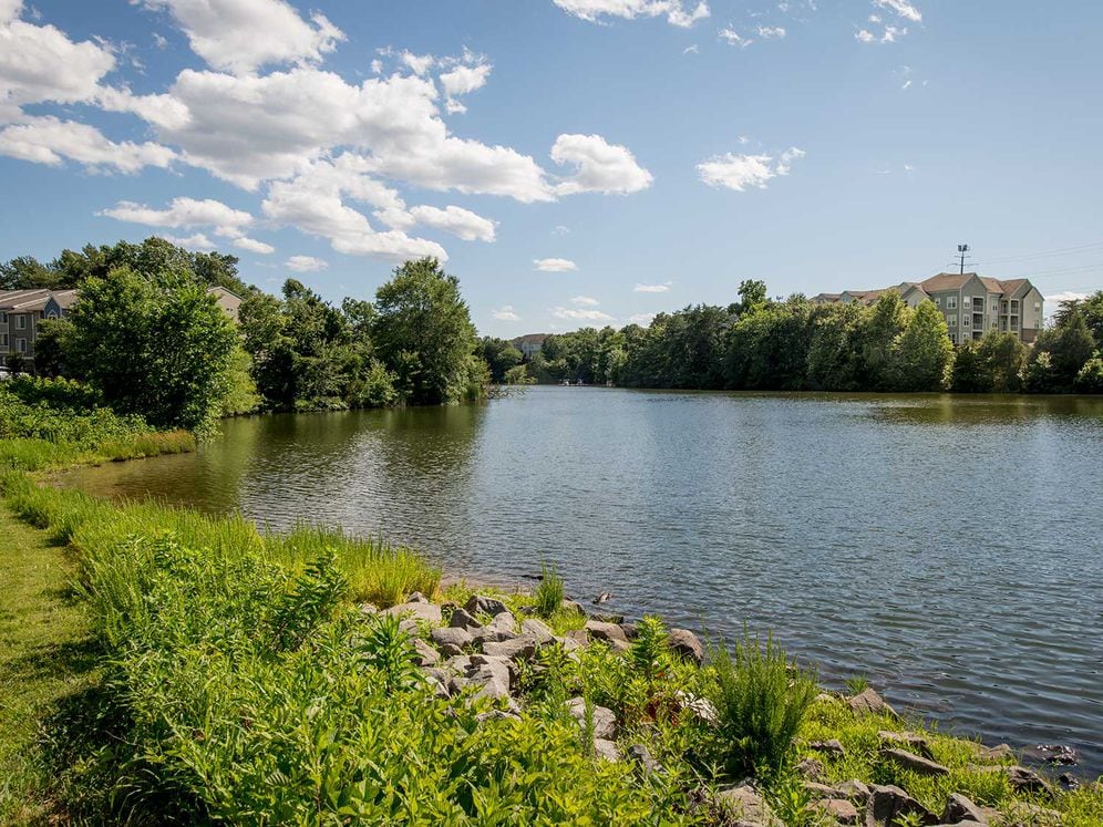 Peacefui six acre lake setting and jogging trail