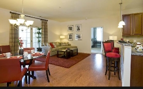 Dublin Terrace Image 10