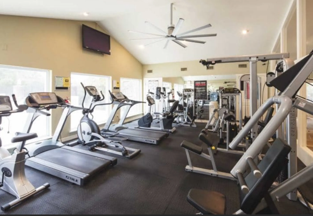 Spring House on the Park Image 5