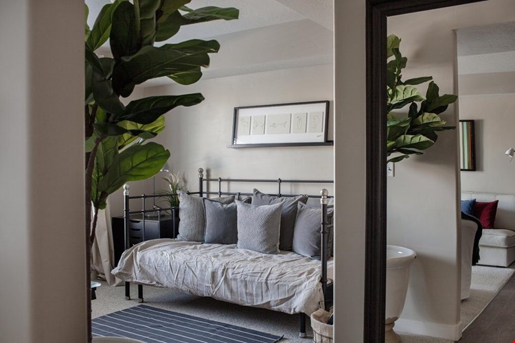 Boulder Canyon Image 29