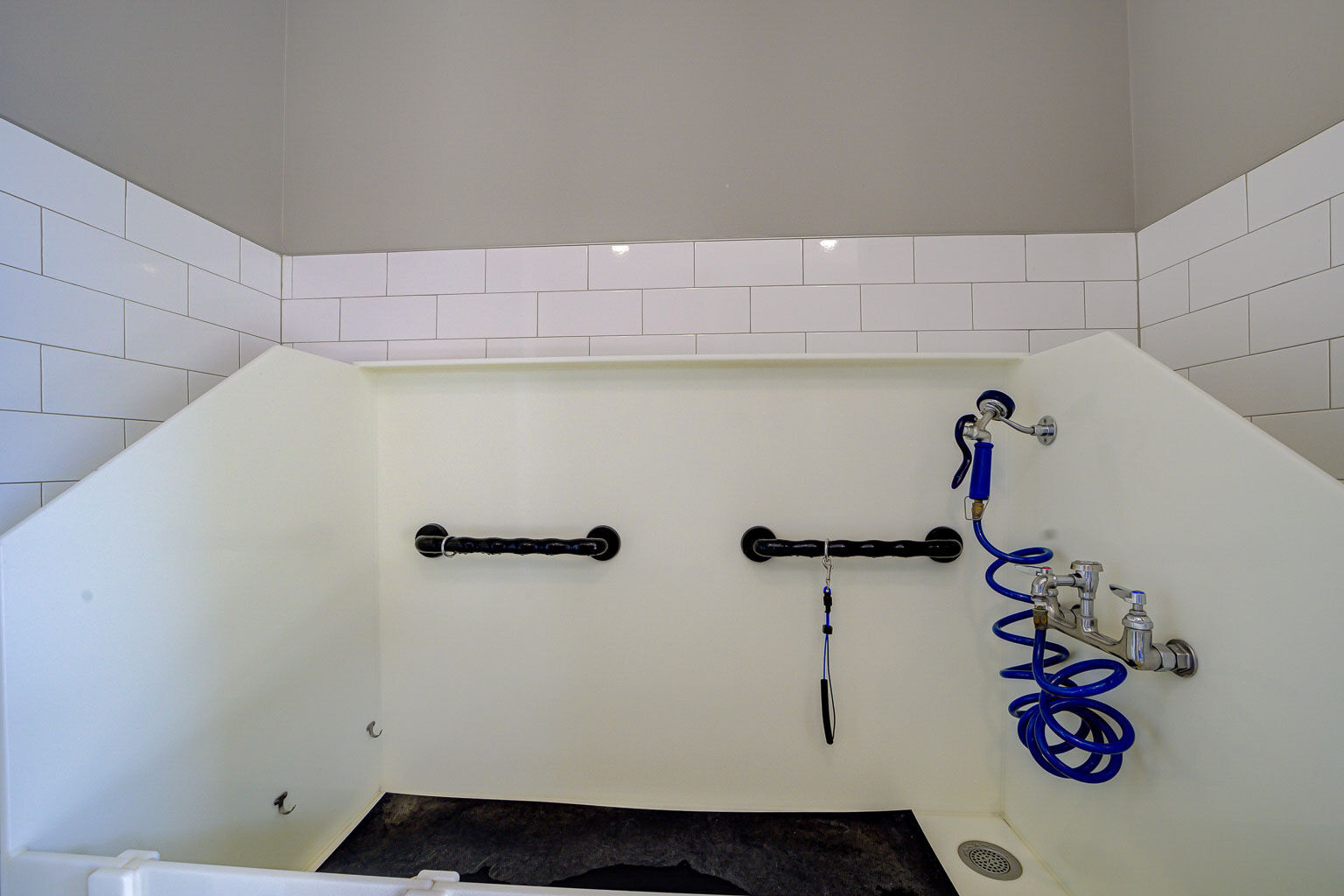 Holly Crest Image 12