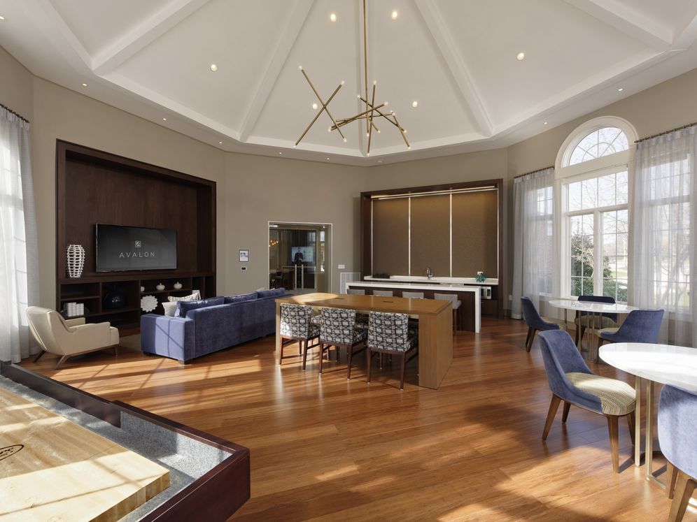 Resident lounge with shuffleboard, entertaining kitchen and flat screen television