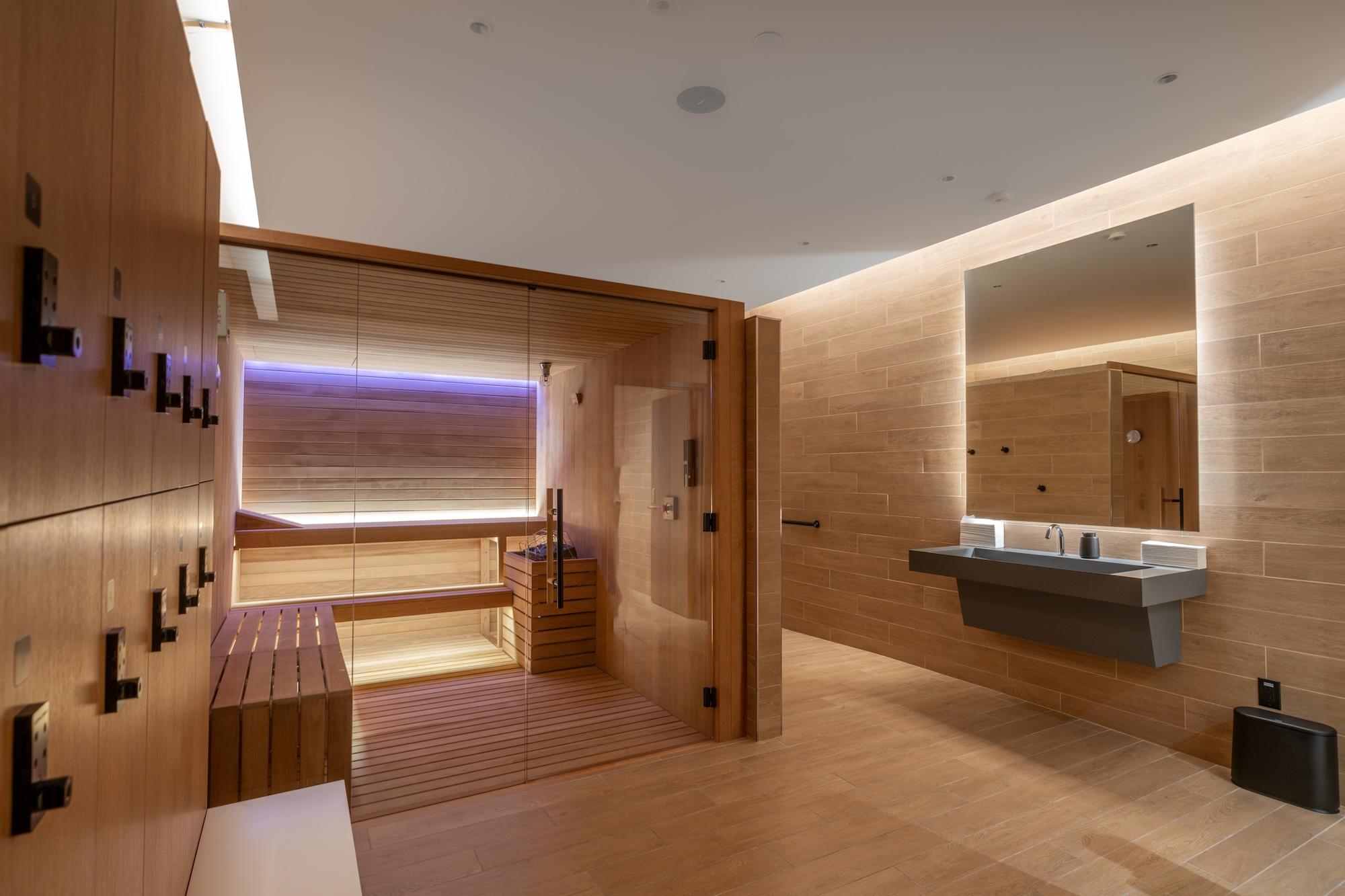 The Modern Image 21