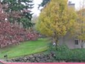 grounds