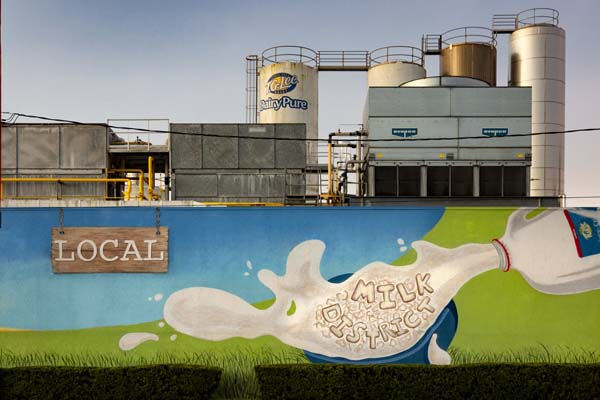 Camden Thornton Park Image 43