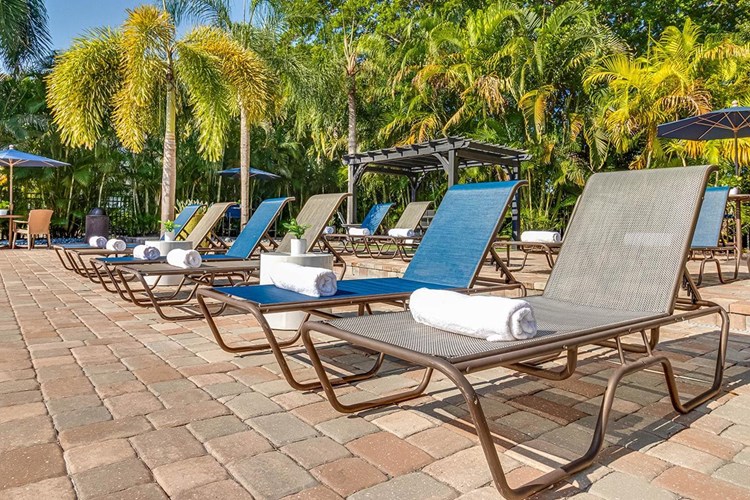 Soak in the sun from one of our poolside loungers.