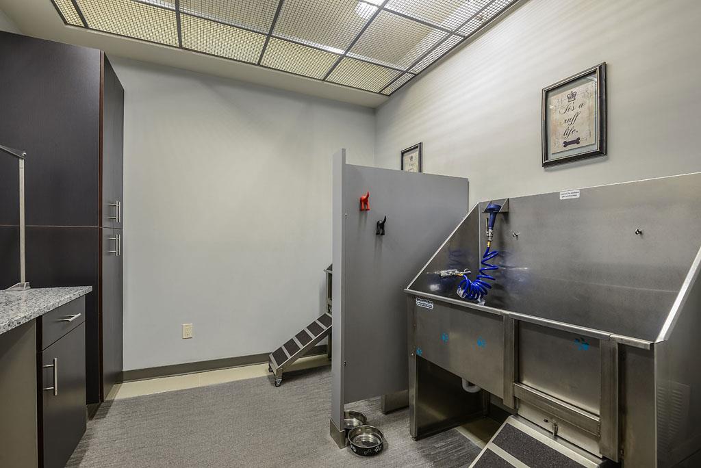 5 Thousand Town Image 7