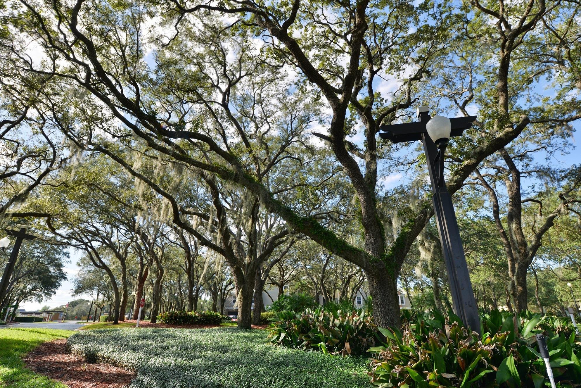 Arium Valencia Gardens Image 19