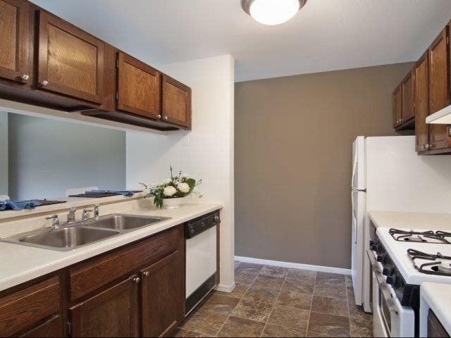 Shadow Green Image 6