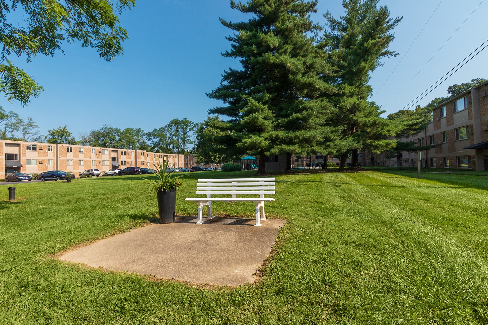 Red Bank Reserve Image 25