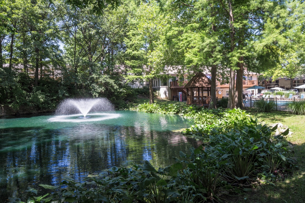 Park Forest Apartments Image 9