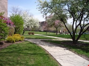 grounds