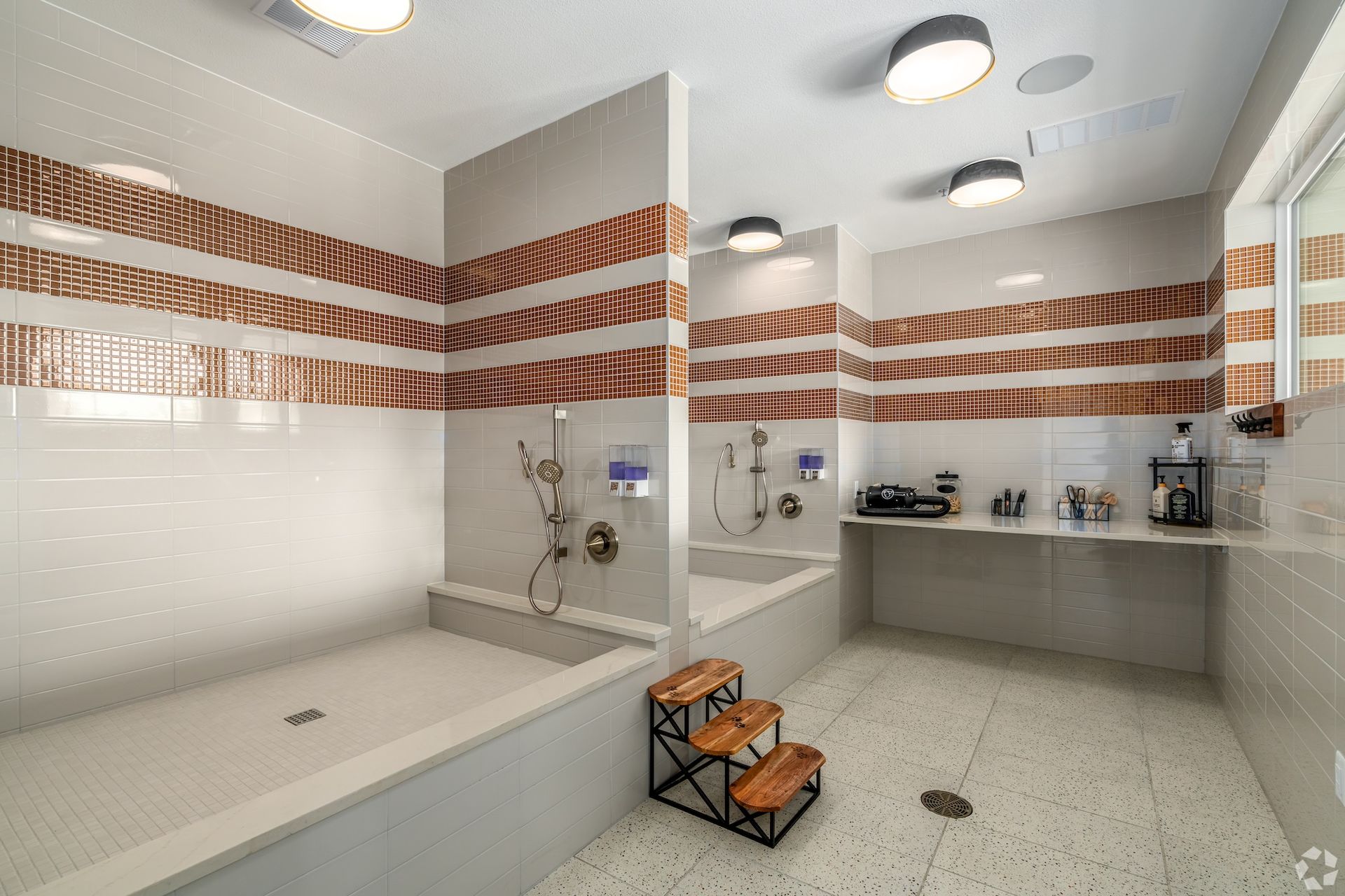 The Anderson Image 3