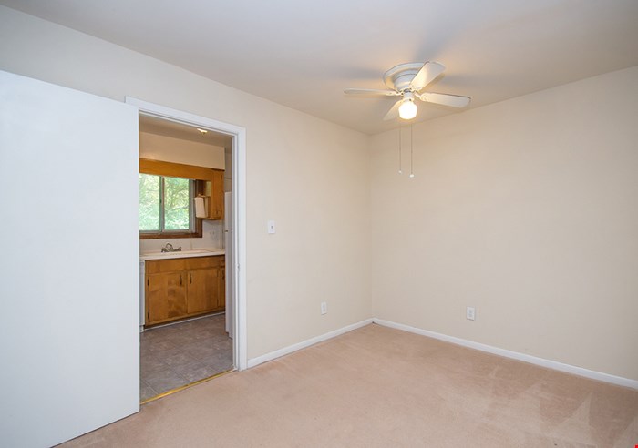 Pines on Scott Image 4