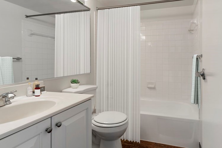 Renovated Package I bath white white cabinetry and hard surface flooring