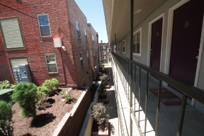The Slip In Image 2