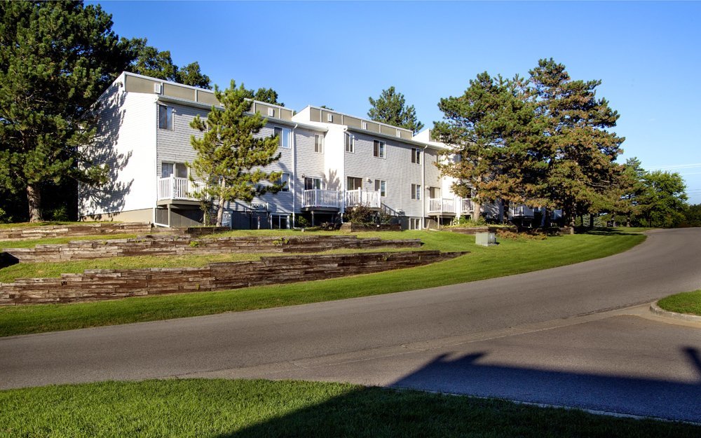 The Valley  Image 16