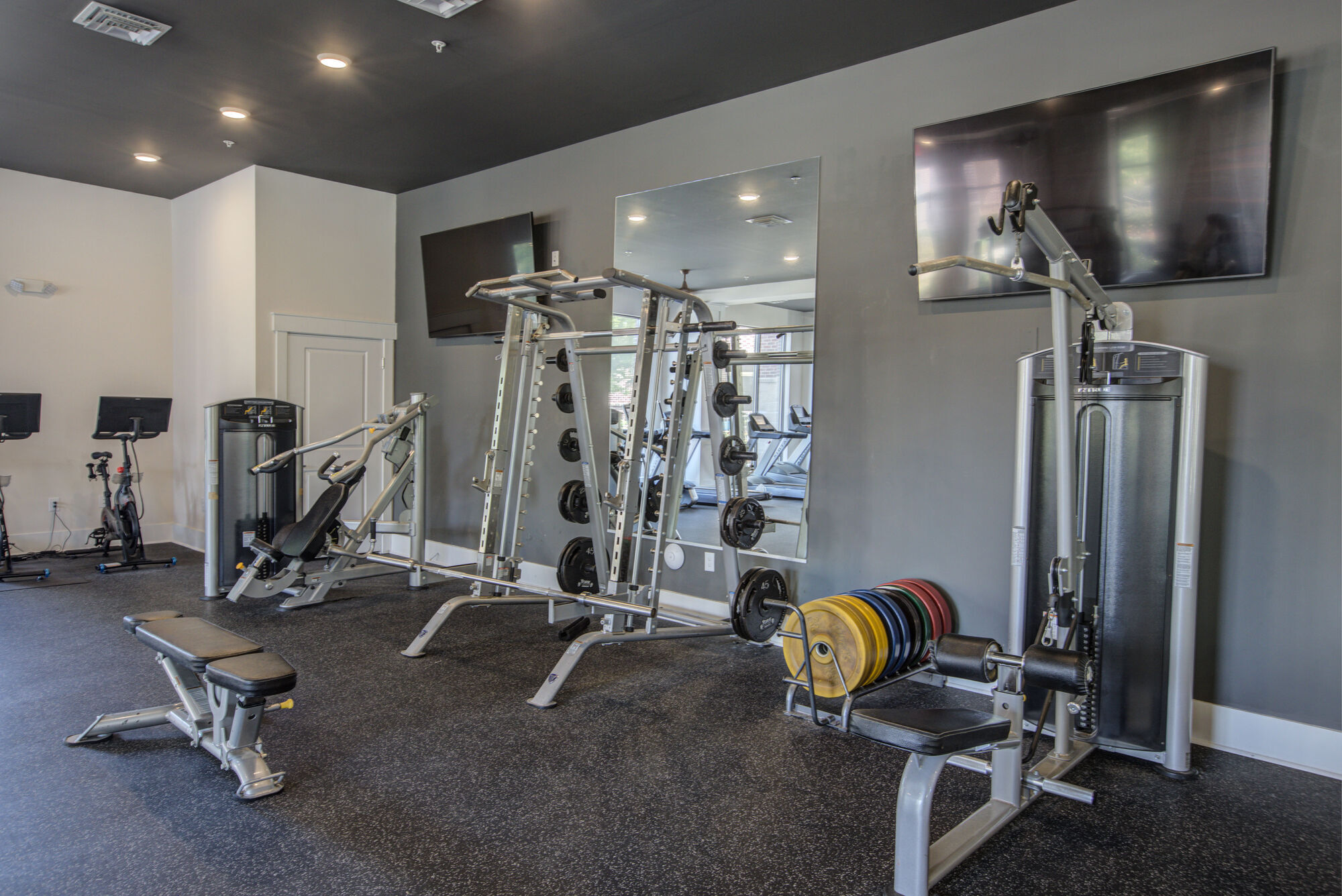 Holly Crest Image 15