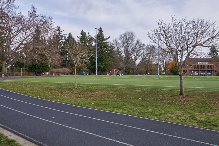 Springline  Image 39