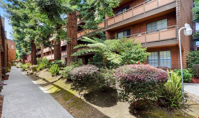 Apartments At Ashland Garden Apartments San Lorenzo