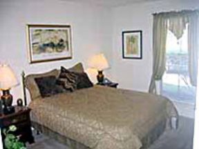 Ashmore Image 5