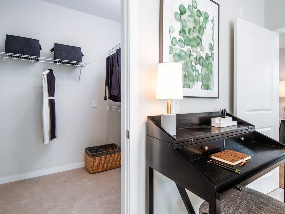 Design Collection II (South Building) Bedroom with walk-in closet