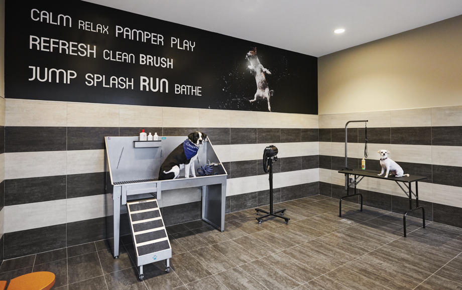 Camden McGowen Station Image 41