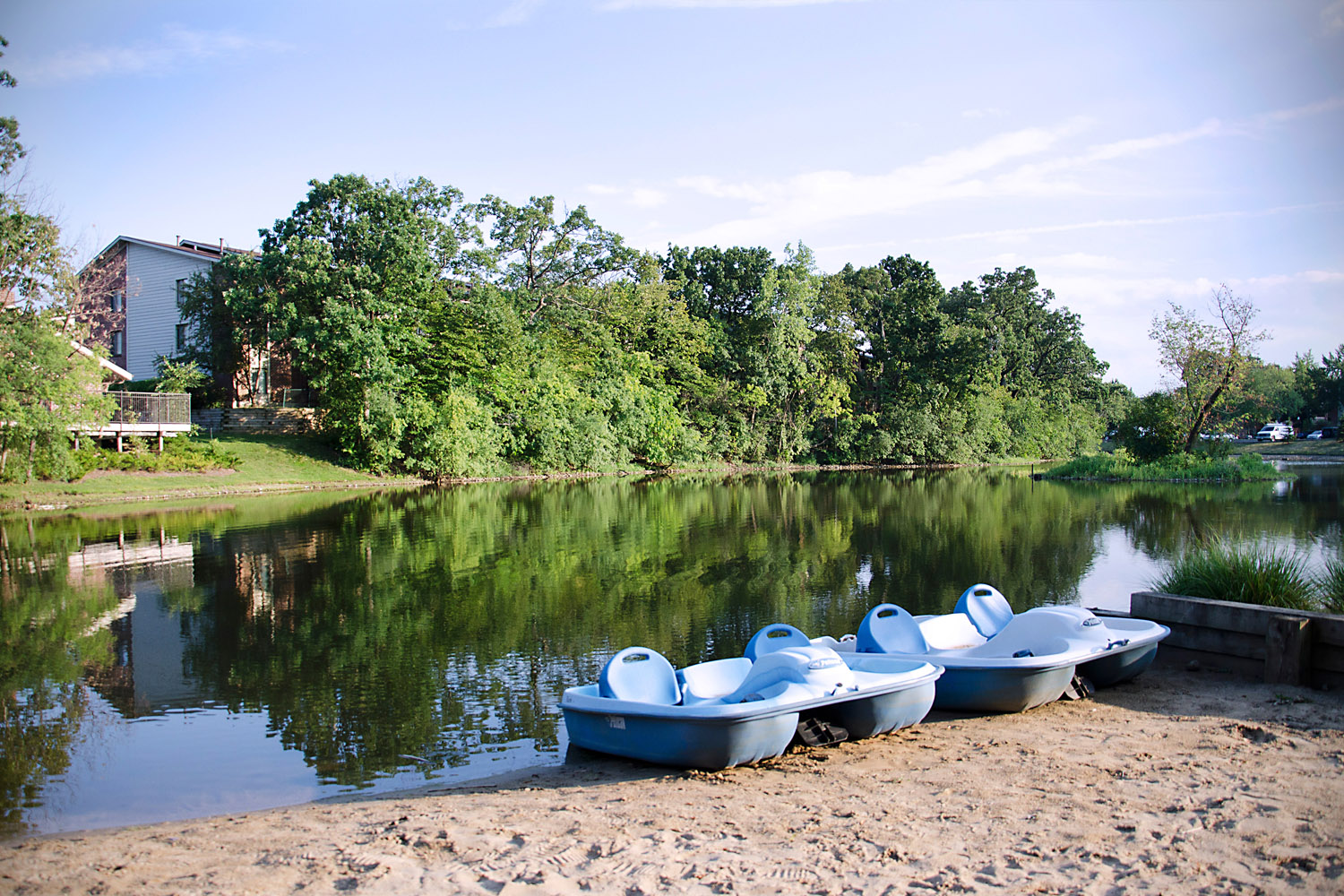 The Treehouse of Schaumburg Image 19