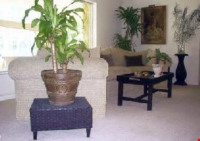 Raymond Drive Image 9