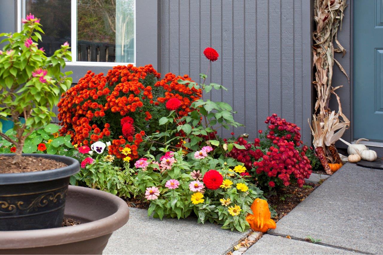 Maple Ridge Image 23