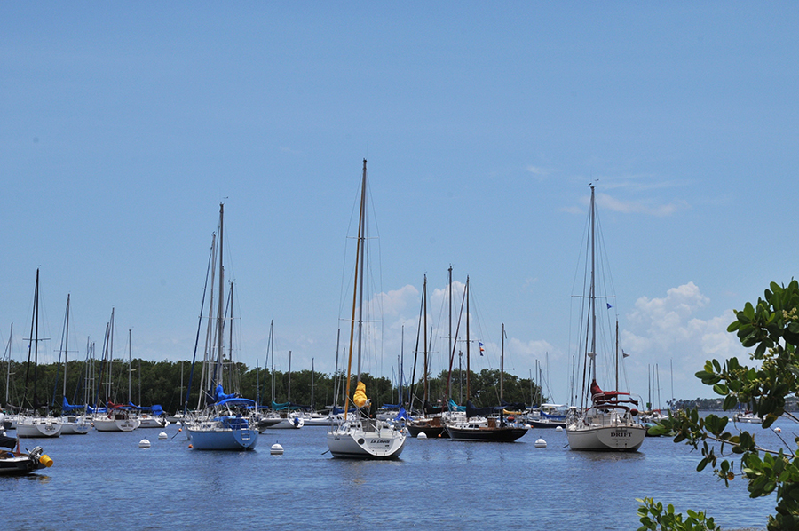Close to Biscayne Bay