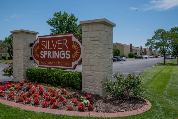 Silver Springs Image 1