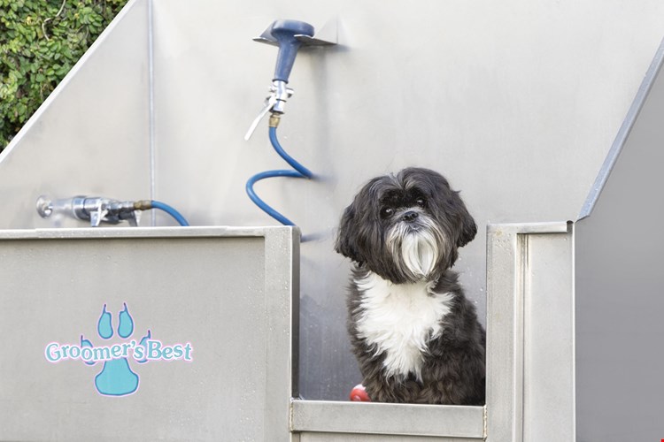 Camden Orange Court Image 16