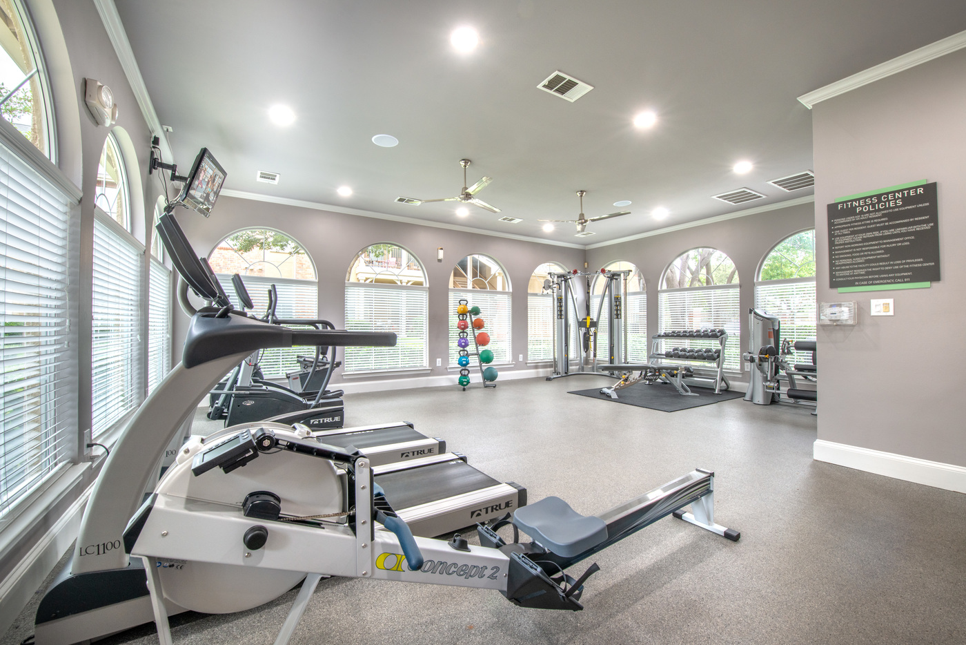 The Vine South Image 12