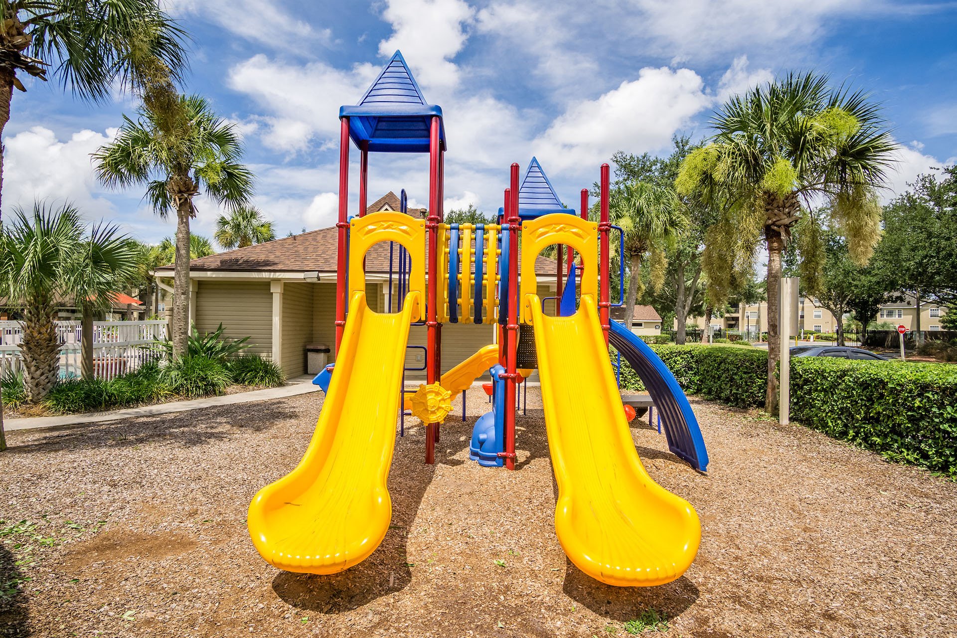 Cricket Club Image 14