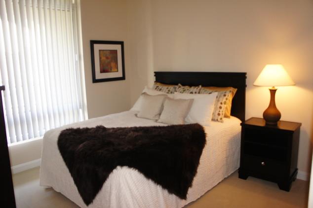 The Onyx Image 20