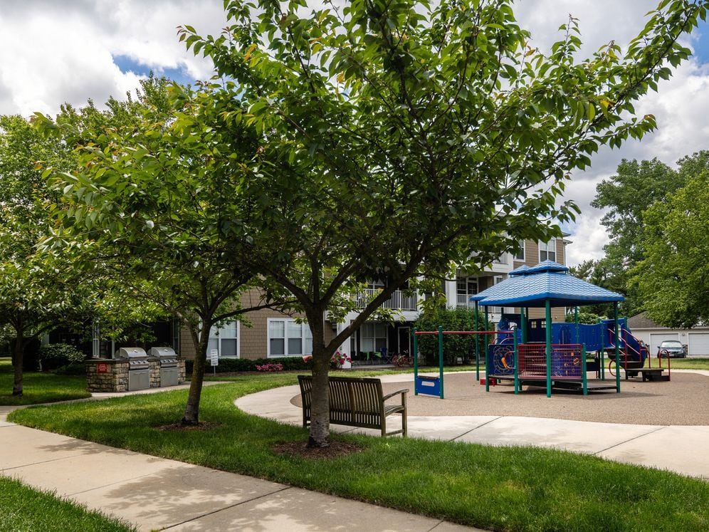 Playground and grill area