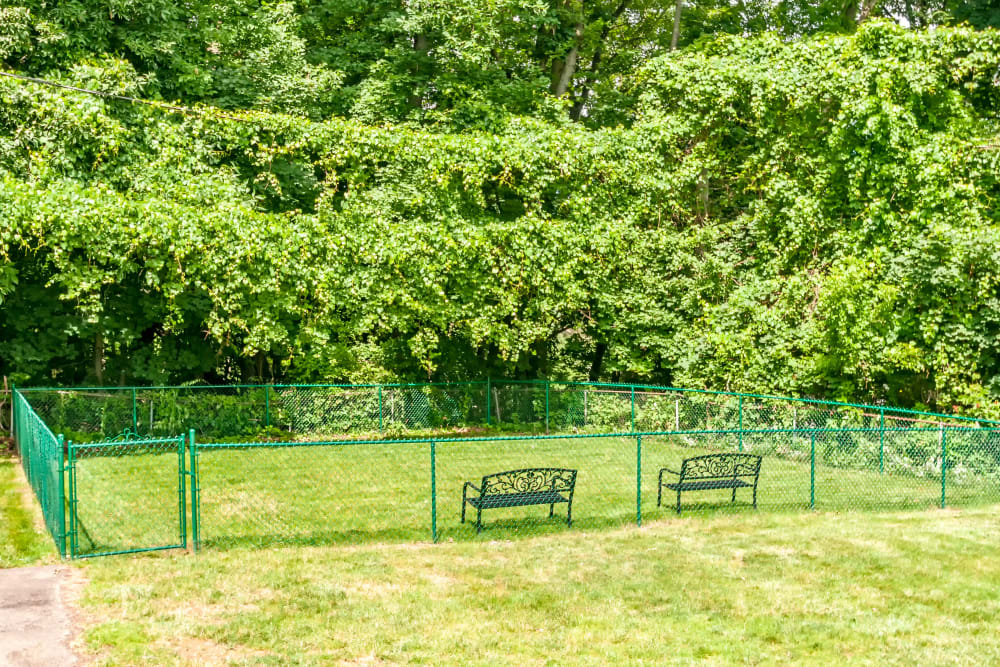 Washington Heights, LLC Image 6