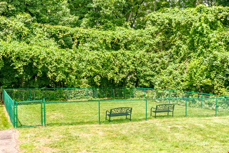 Washington Heights, LLC Image 6