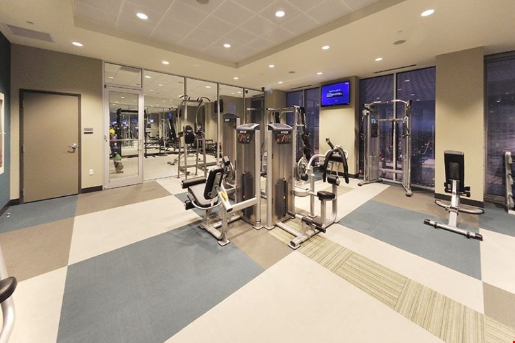 Apartments At Skyhouse Orlando Orlando