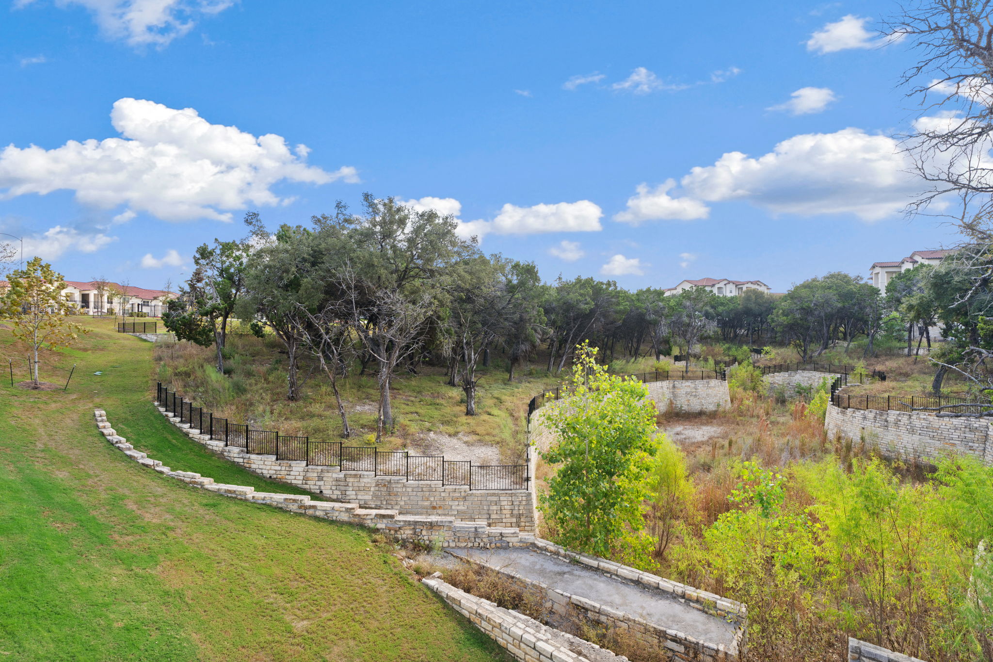 Water Oak Image 81