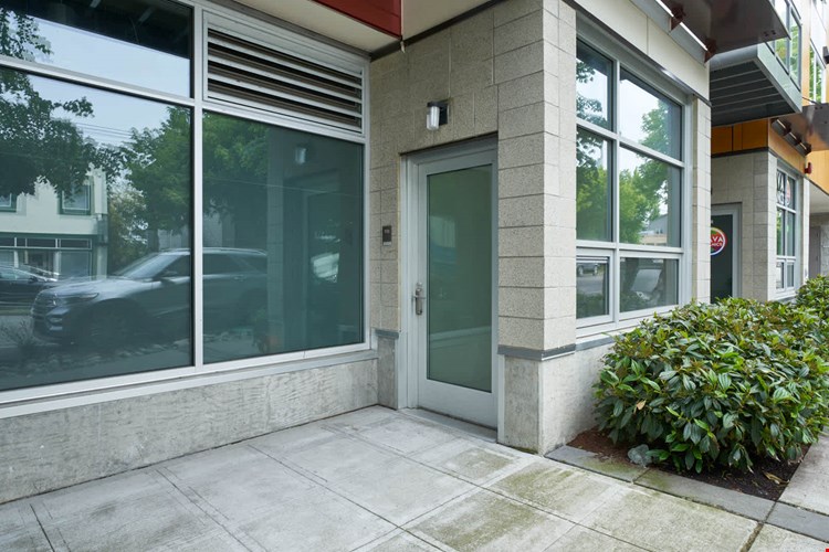 Springline  Image 17