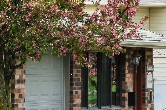 Fox Forest Townhomes Image 2