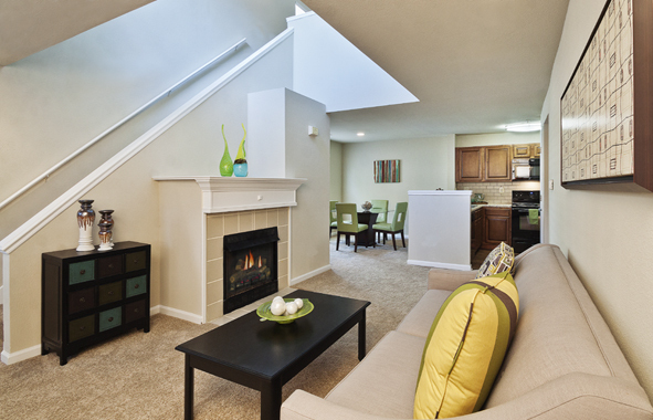 Camden Lake Pine Image 17