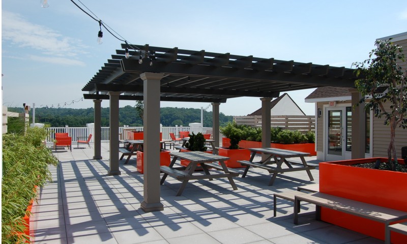 Pergola-covered dining