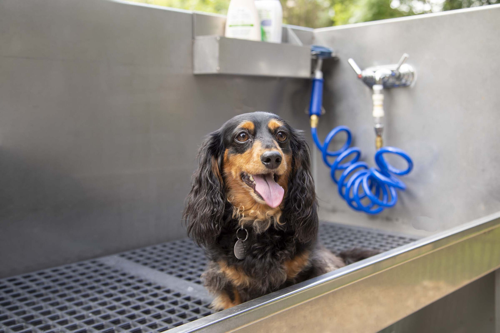 Camden Lamar Heights Image 33