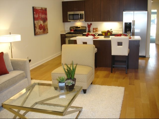 Living Room and Kitchen Area